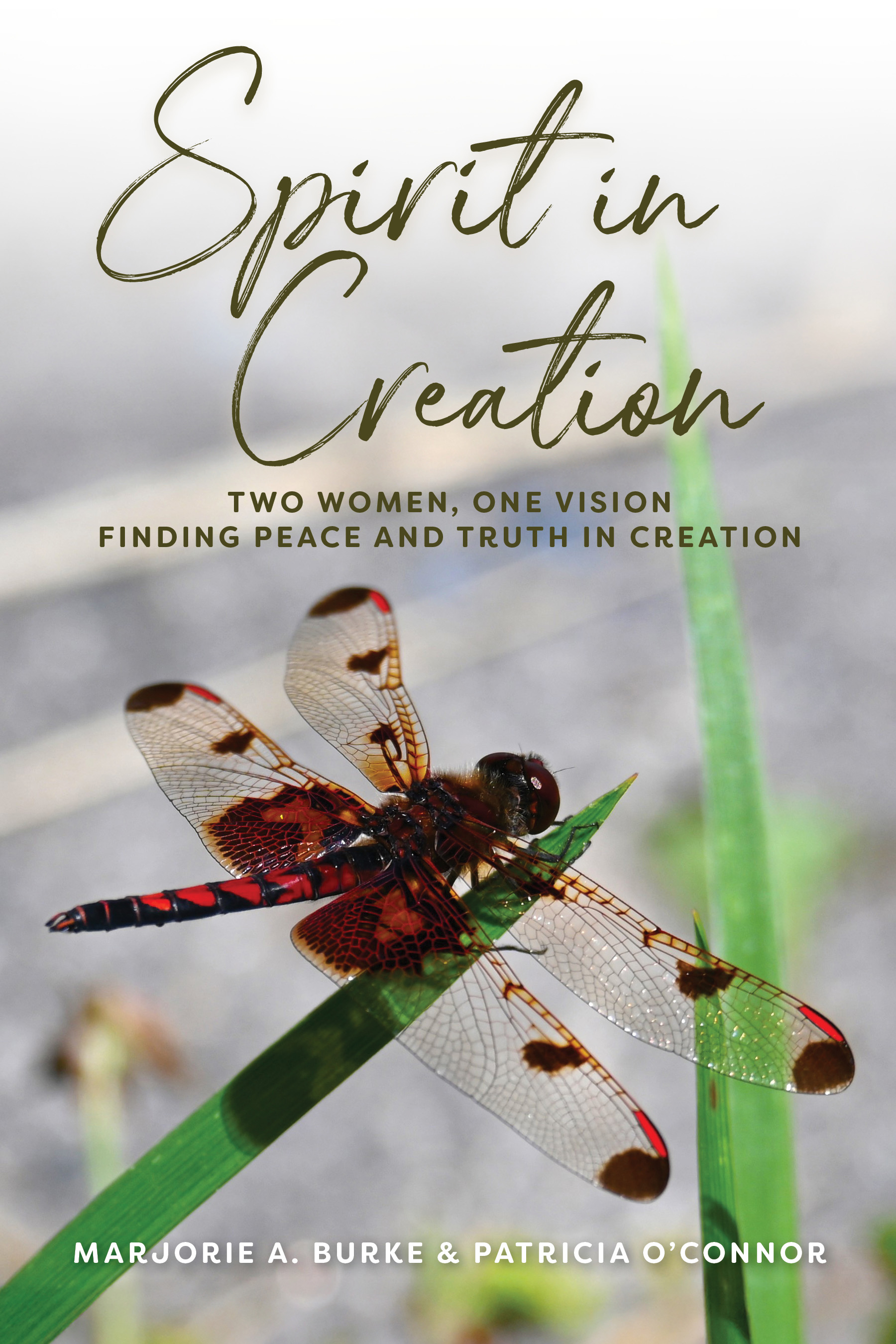 Two Women, One Vision Finding Peace and Truth in Creation